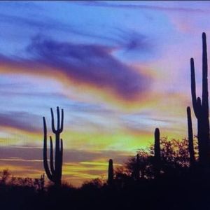 Meet your Posher, Jay